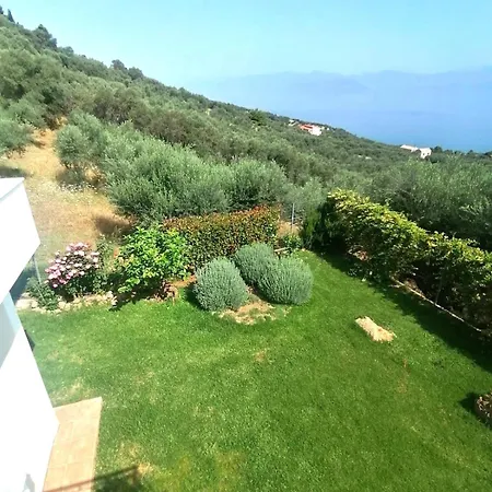 White Hill Platanos *