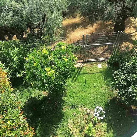 White Hill Platanos Akrata