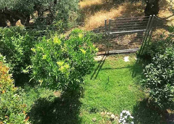 White Hill Platanos Ακράτα